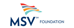 MSV Foundation