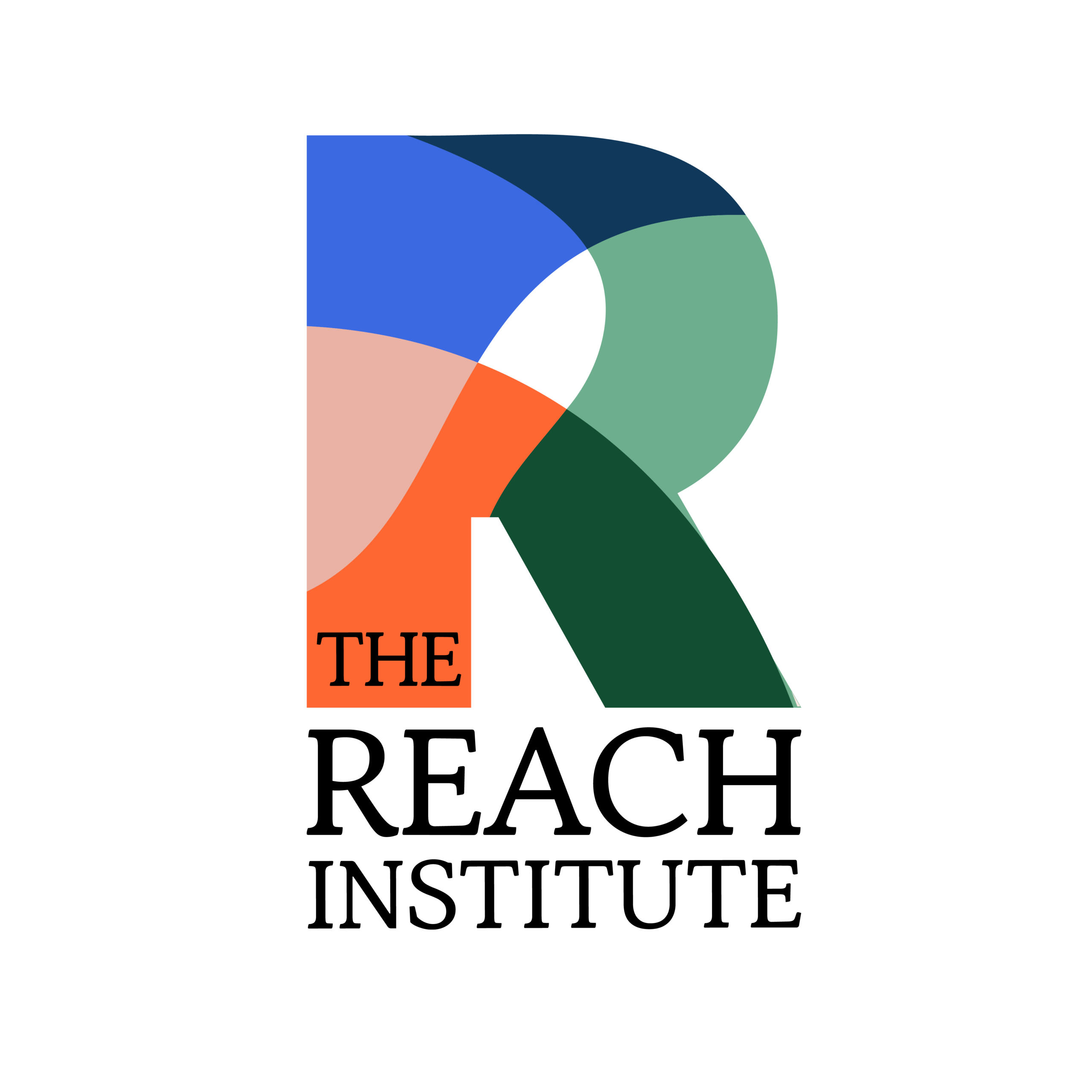 REACH Institute Logo REACH Institute Logo